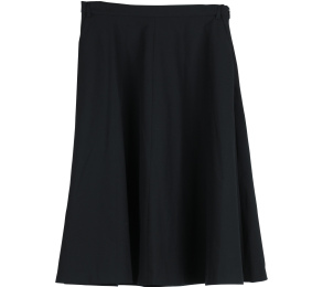 Zara Black Skirt