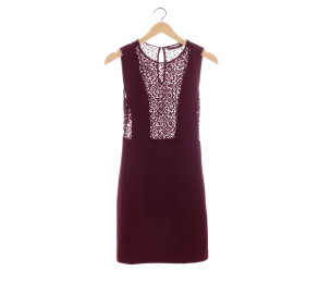 Zara Maroon Mini Dress