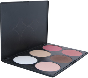 Coastal Scents 6 Contour Blush Sets and Palette