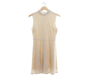 Chic Simple Cream Lace Mini Dress