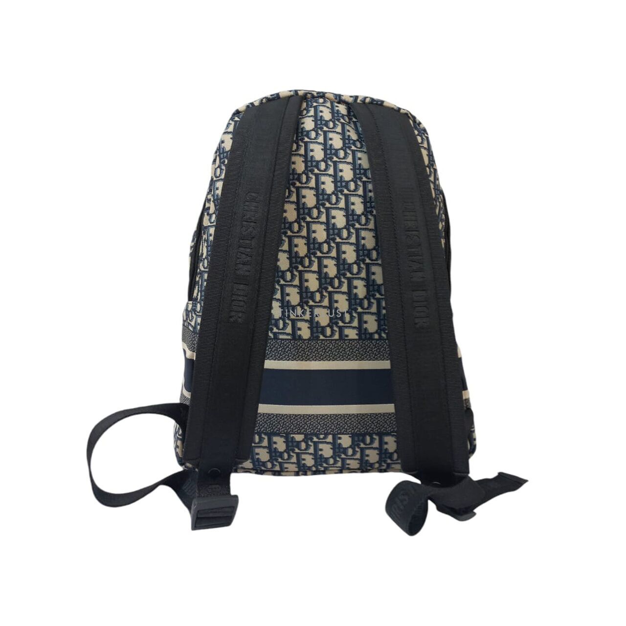 Dior travel backpack