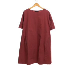 Zara Brown Midi Dress