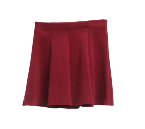 Zara Maroon A-Line Mini Skirt