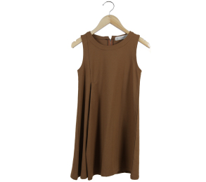 Zara Brown Mini Dress