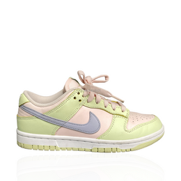 Nike Dunk Low Sneakers