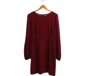 Zara Maroon Mini Dress